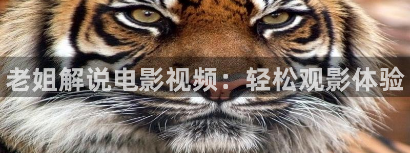 手机版新视觉影院
