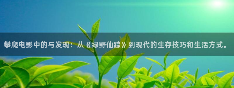 新视觉官网电视剧影院