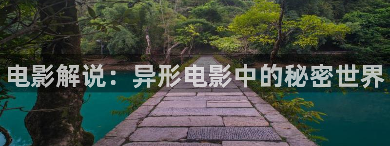新视觉伦理
