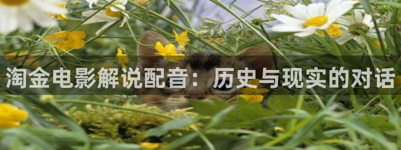 4480新视觉