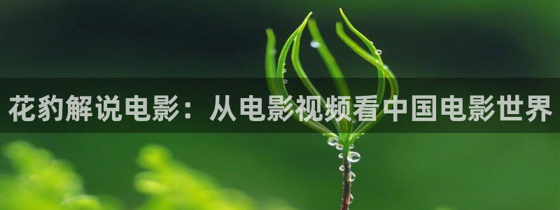 青苹果新视觉官网