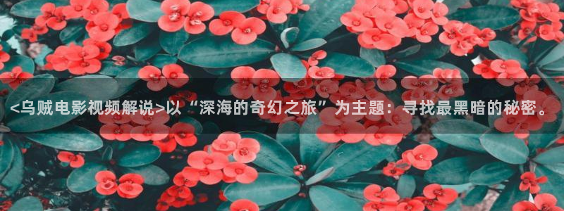 私人新视觉影院