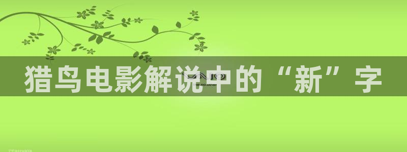 0806新视觉影视