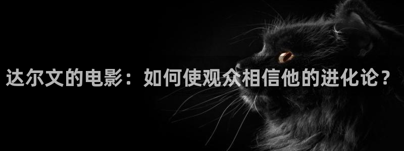 新视觉韩国