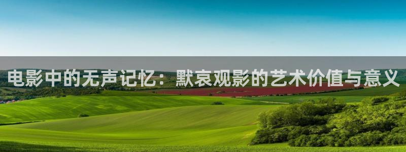 新视觉网站式影院