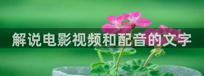 新视觉超清影院