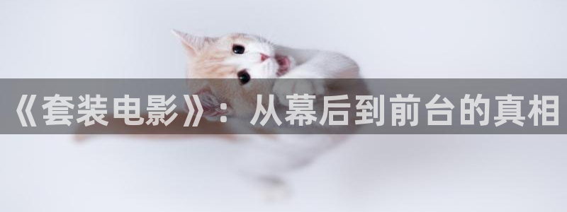 新视觉苹果6090