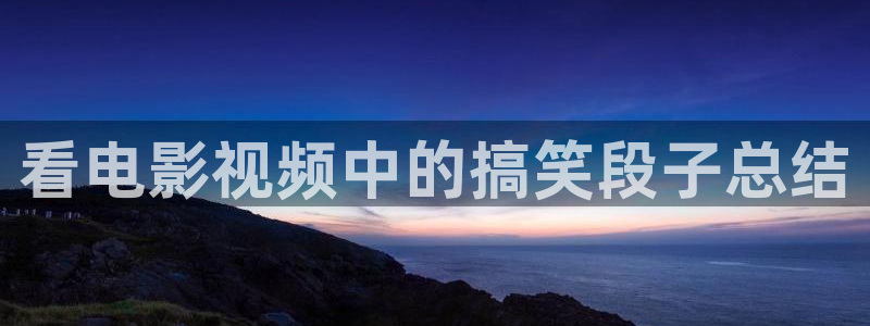 新视觉有限公司