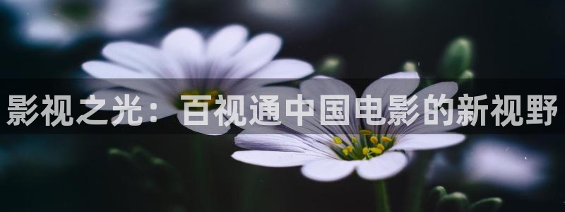 新视觉影院免费电影