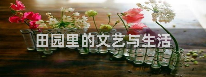 新视觉影院网8090yy